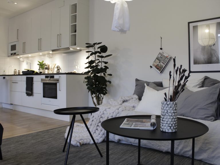Ein stilvoll eingerichtetes Einzimmer-Apartment: Der Raum ist hell und modern gestaltet, mit einem großen Fenster, das viel Tageslicht hereinlässt. Links steht ein gemütliches Sofa mit Kissen und einer Decke, daneben ein kleiner Couchtisch. Gegenüber befindet sich ein schmaler Schreibtisch mit einem Laptop und ein Regal mit Büchern und Dekorationen. Ein Teppich trennt den Wohnbereich optisch vom Schlafbereich, in dem ein Bett mit neutraler Bettwäsche steht. Pflanzen und dezente Wandbilder verleihen dem Raum eine wohnliche Atmosphäre.